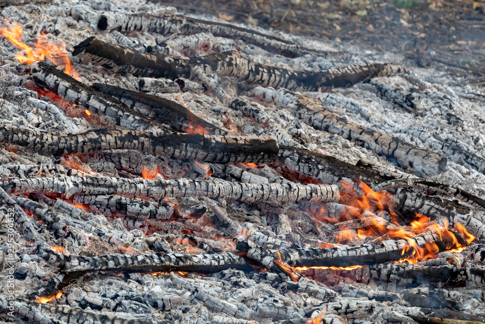 Burning wood in huge bonfire. Natural background of fire and ashes with copy space