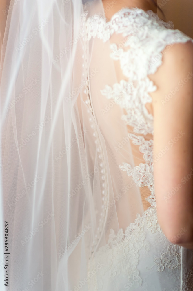 Young attractive bride in white beautiful wedding dress. Wedding concept, back view Young attractive bride in white beautiful wedding dress. Wedding concept, back view