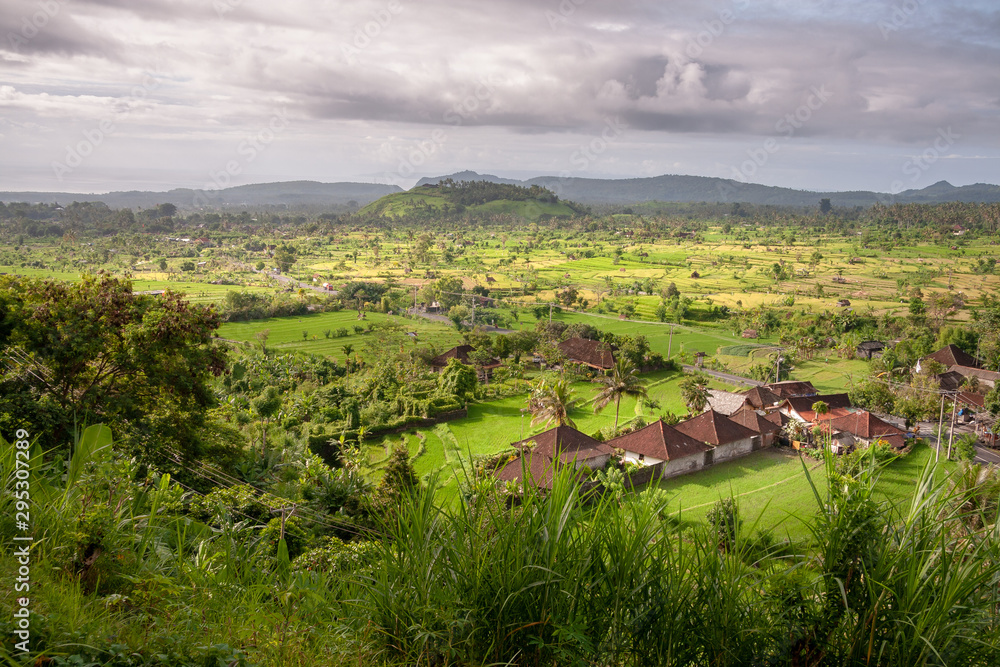 Houses and Rice fields in the neighbourhood of Tirta Gangga, Bali, IDN Houses and Rice fields in the neighbourhood of Tirta Gangga, Bali, IDN