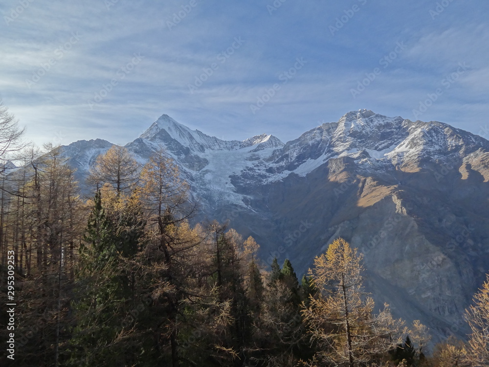 Obraz premium paysage 