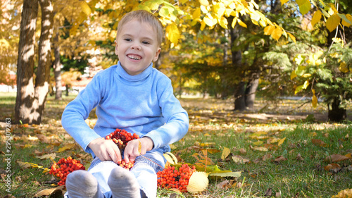 A child in the autumn Park plays and laughs merrily, he plays with yellow leaves and Rowan berries. Sunny autumn day in the Park. Outdoor entertainment