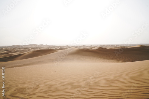 Fototapeta Naklejka Na Ścianę i Meble -  Landscape of sand dunes desert