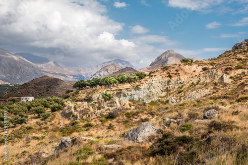 Olivenhain bei Plakias, Kreta, Gebirge im Süden, Küste, Griechenland