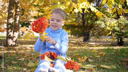 A child in the autumn Park plays and laughs merrily, he plays with yellow leaves and Rowan berries. Sunny autumn day in the Park. Outdoor entertainment