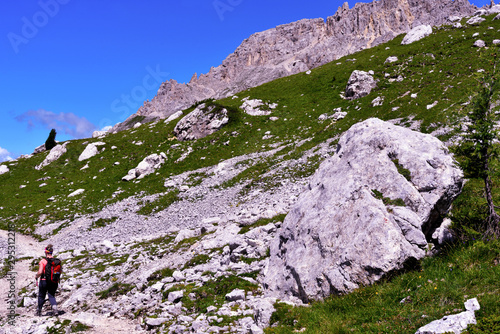 jumps towards the refuge path tower of Pisa latemar (predazzo pampeago) dolomites alto adige Italy photo