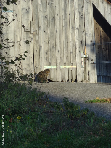 nature et paysage