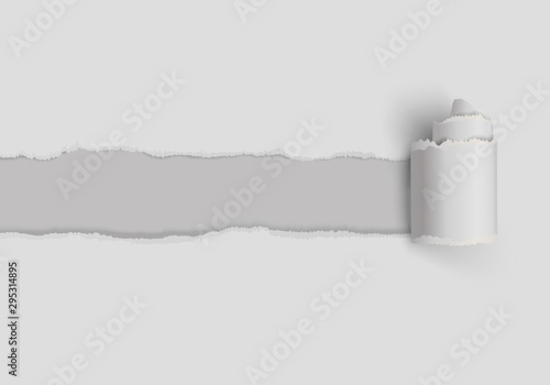 Vector realistic torn paper with rolled edge and shadows on transparent background. Easy editable.