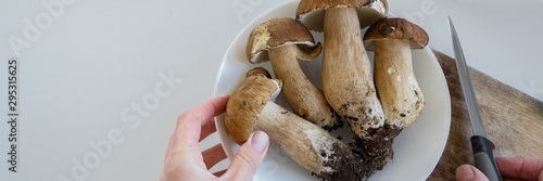 Personal perspective of woman hands preparing porcini mushrooms (Boletus edible) for cooking them