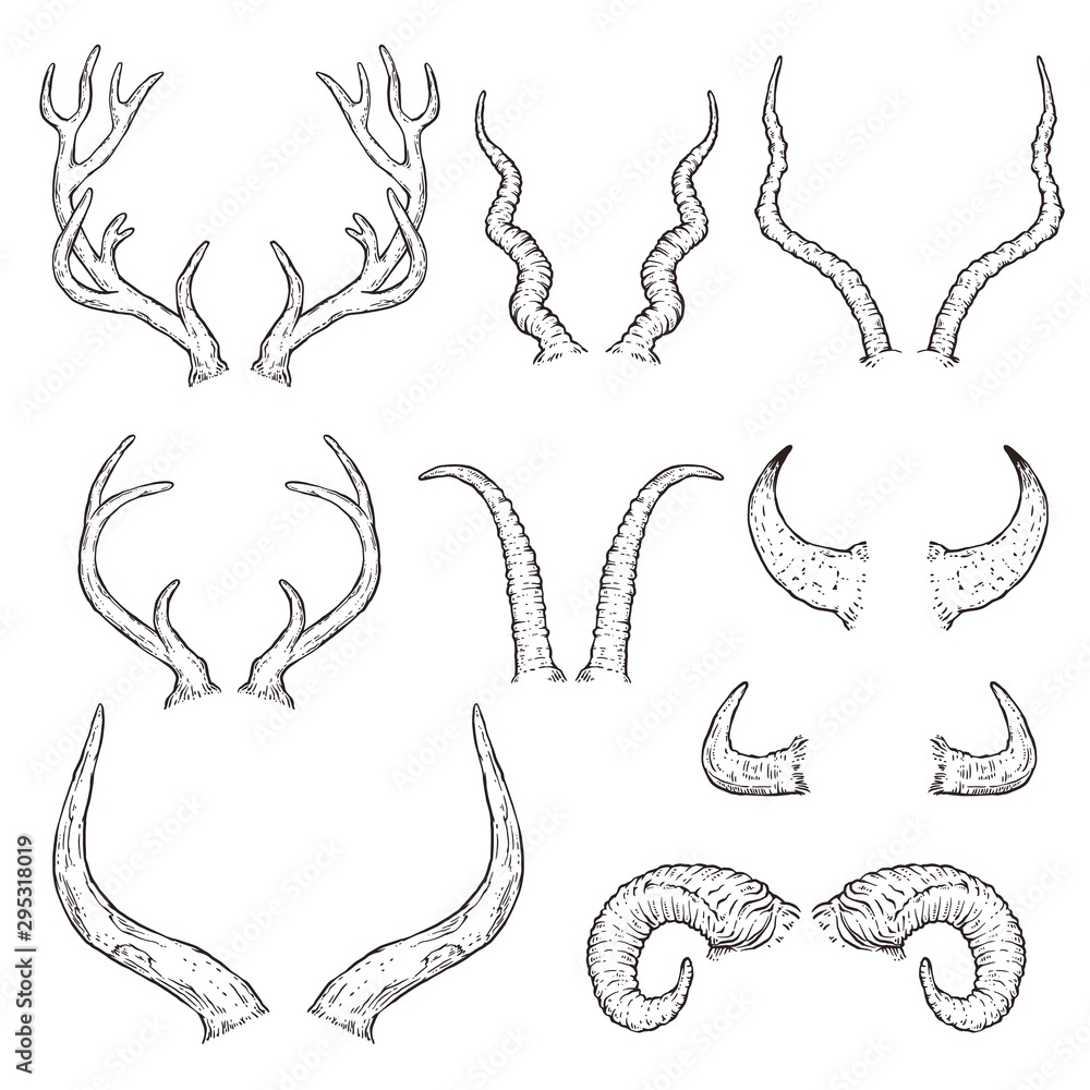 Hand drawn animal horn set black and white sketch style collection