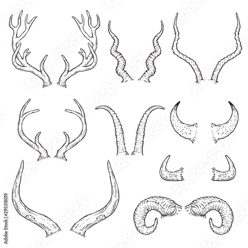 Hand drawn animal horn set - black and white sketch style collection photo