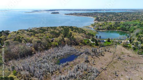 Foto Cape Cod Aerial with Vernal Pool