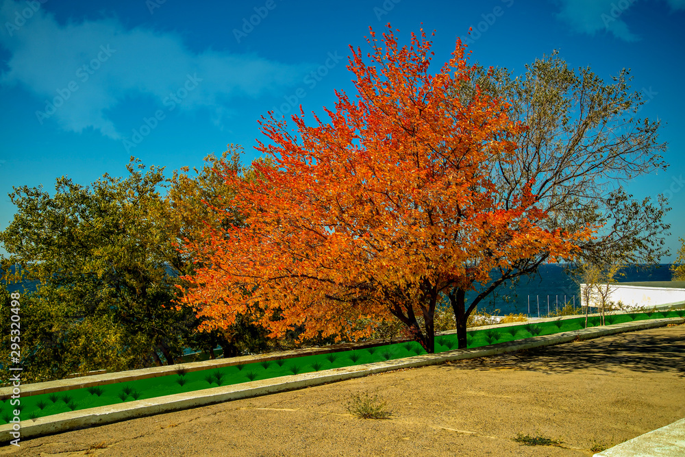 Naklejka premium Осень