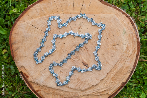 chain from a chainsaw to cut a tree