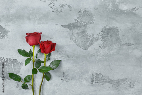 Red roses lie on a textured light background. Space for your text