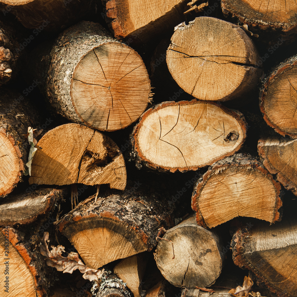 Wall firewood , Background of dry chopped firewood logs in a pile. Harvesting firewood for the winter. Harvesting firewood for the winter. Wall firewood , Background of dry chopped firewood logs in a pile. Harvesting firewood for the winter. Harvesting firewood for the winter.