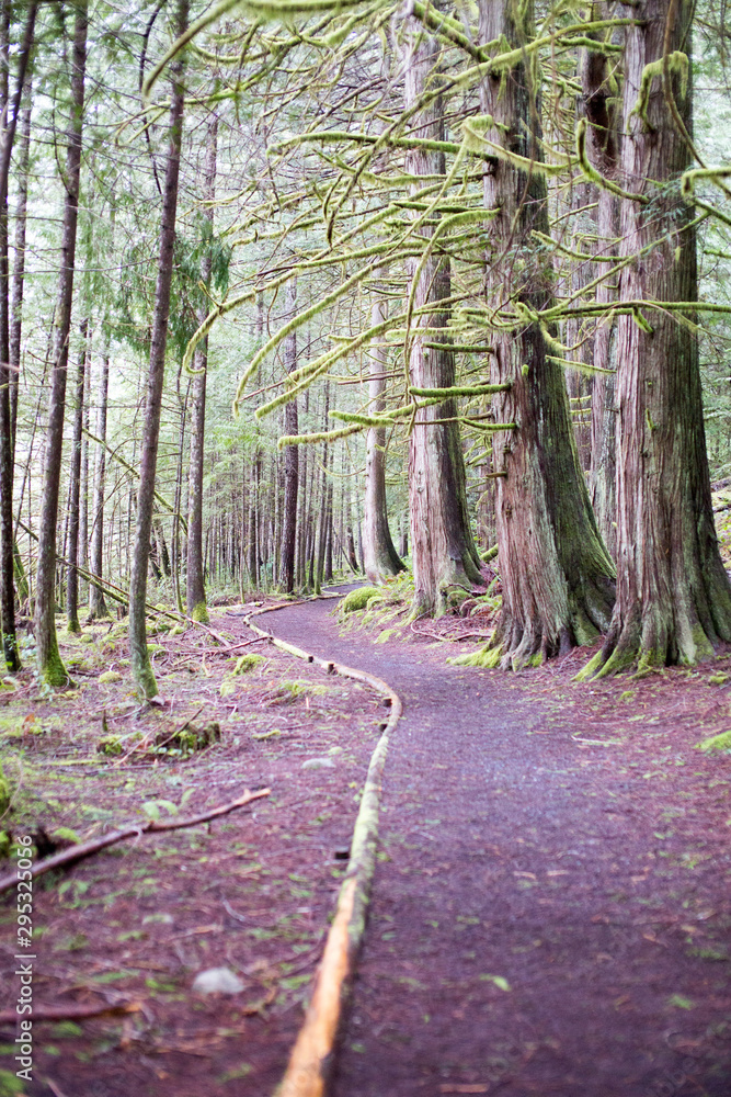 Obraz premium walkway