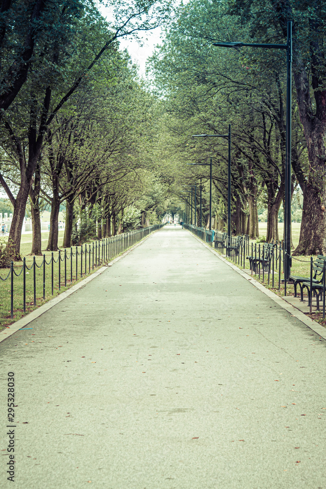 A tree lined walking trail on the National Mall in Washington DC.