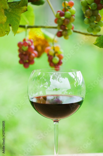 ブドウとワイン