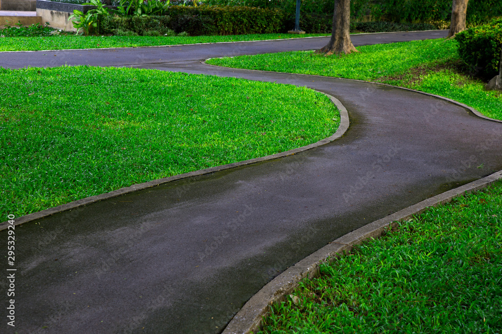 Fototapeta premium Lovely garden with footpath. 