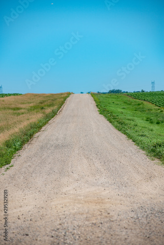gravel road in the summer