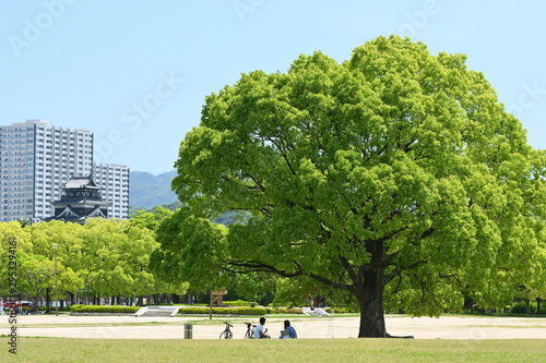 クスノキの下で寛ぐ人々と広島城が見える中央公園