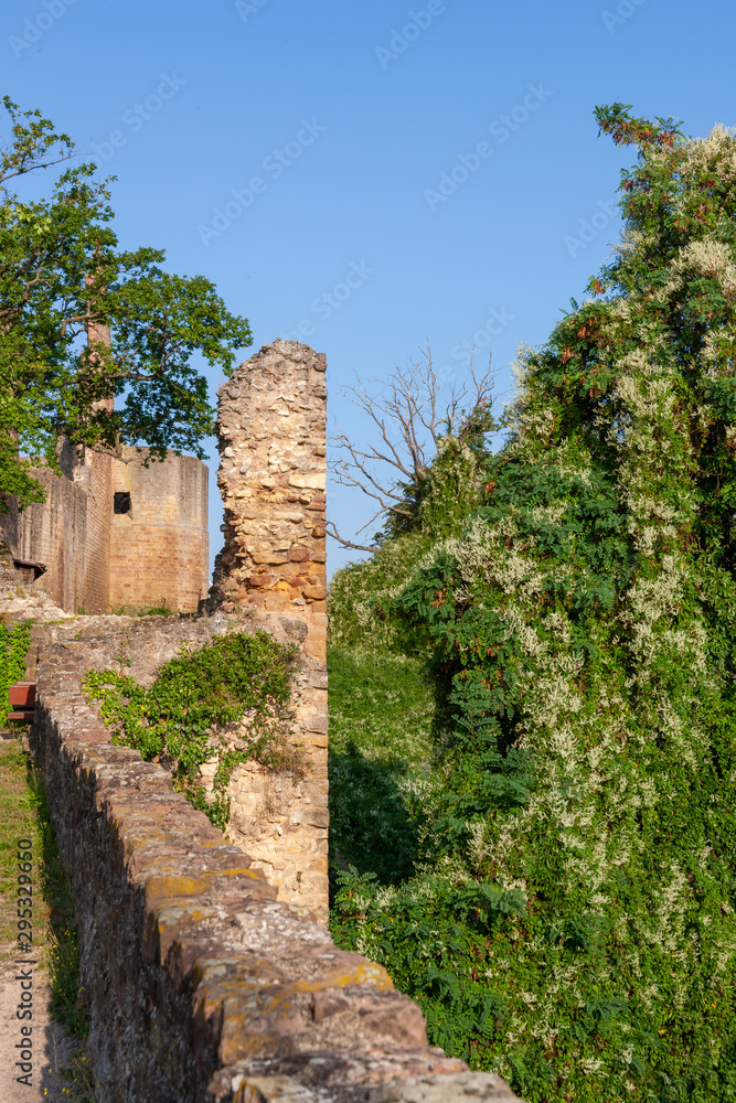 Ruine mit Mauerwerk im Grünen