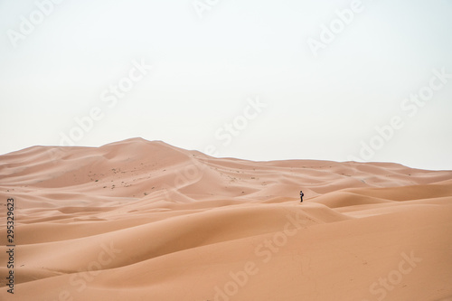 Sahara desert dunes on a cloudy day with no shadows