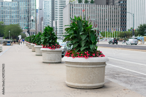 Row of Planters with Flowers and Plants on Randolph Street in Downtown Chicago
