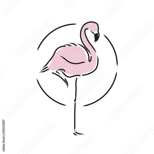 Flamingo staying on one leg vector illustration 