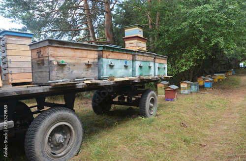 Relocating Honey Bees on Colorful Caravan in Forest. Mobile caravan for relocating honey bees colonies © bildlove