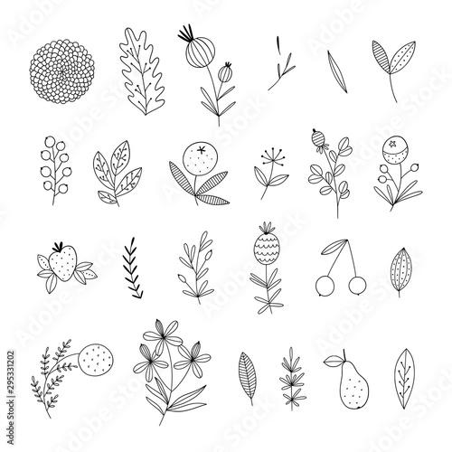 Naklejka Botaniczny wektor zestaw z konturem cienkie rośliny, kwiaty, liście na białym tle. Naturalna kolekcja z kwitnącymi ziołami i słodkimi owocami