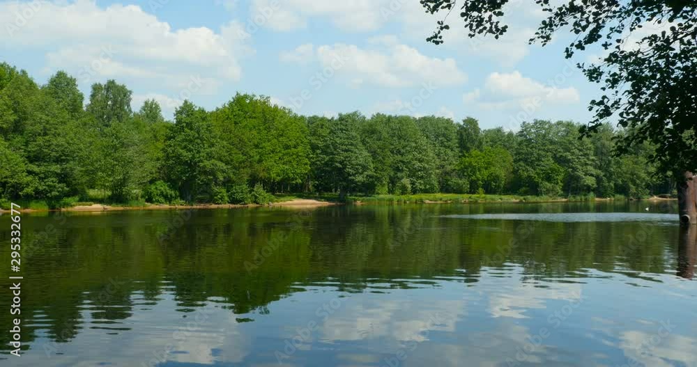 green forest is reflection in the river, beautiful landscape green forest is reflection in the river, beautiful landscape