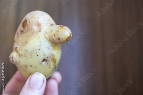 Платно The real mr potato head