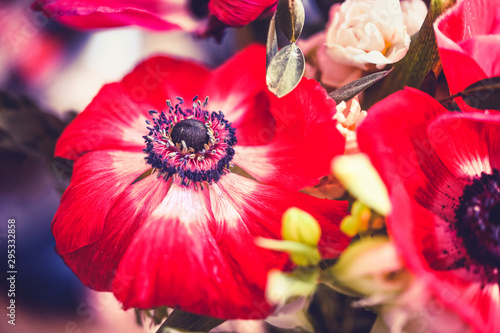 Beautiful bouquet with red anemone, blurred background. Gentle nature photo, bright colors. Nice greeting card, message, design. Delicate nature macro photo for calendar