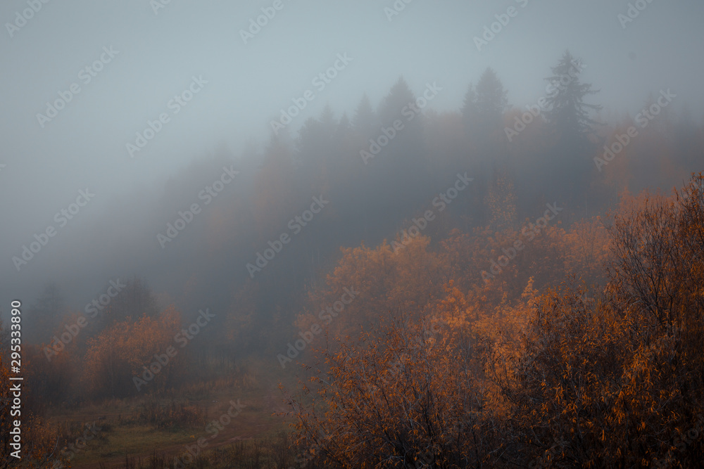 beautiful autumn morning with heavy fog