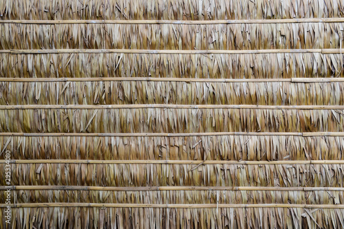 Canvastavla wall of Thai farmer cottage in countryside