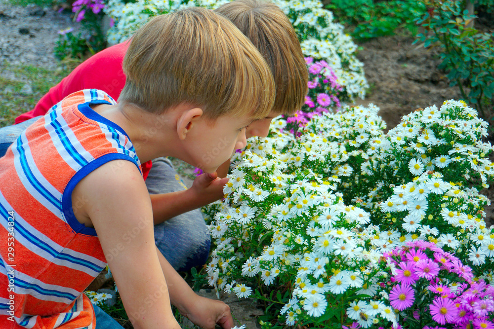 Boy sniffing flowers in a park in a flower garden Boy sniffing flowers in a park in a flower garden