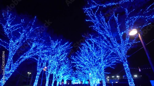 ブルーライトのクリスマスイルミネーション 歩き撮り
