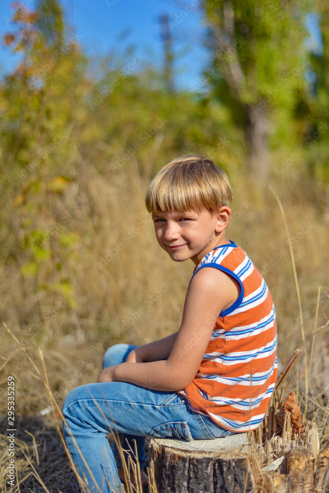 Portrait of a boy sitting on a stump in a park on a summer day. Portrait of a boy sitting on a stump in a park on a summer day.