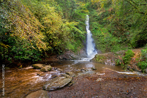 Plakat White lady falls Devon