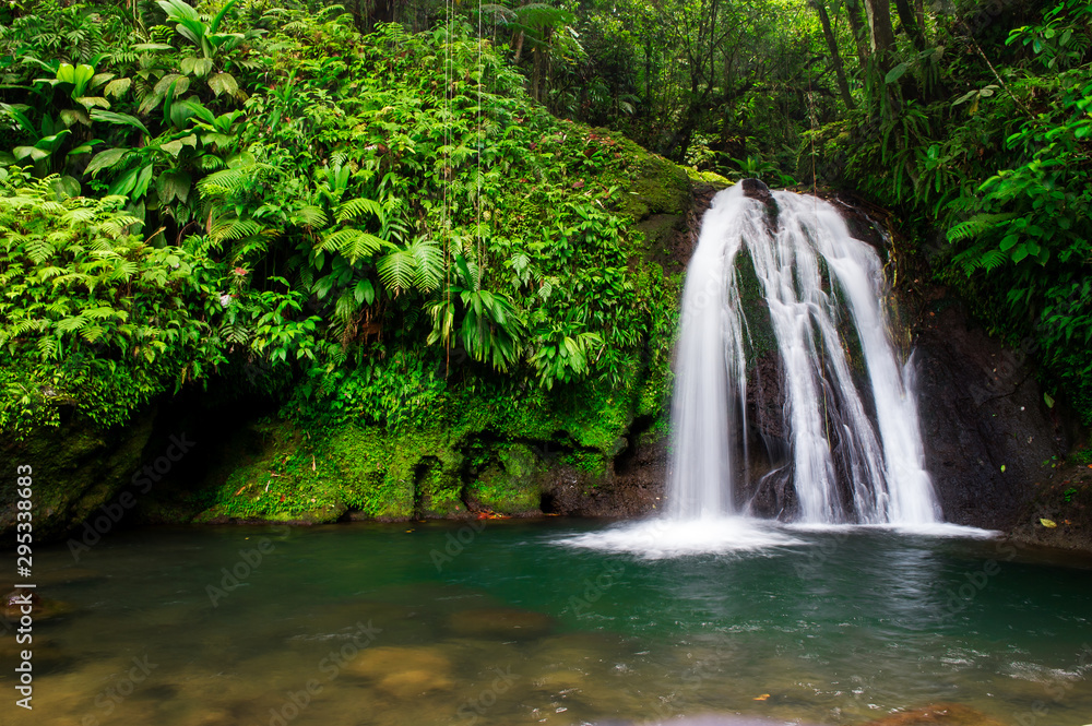 Aprende a pronunciarPetit Borg, Basse Terre / Guadeloupe. 04.09.2014.Cascade Aux. Ecrevisses in Guadalupe