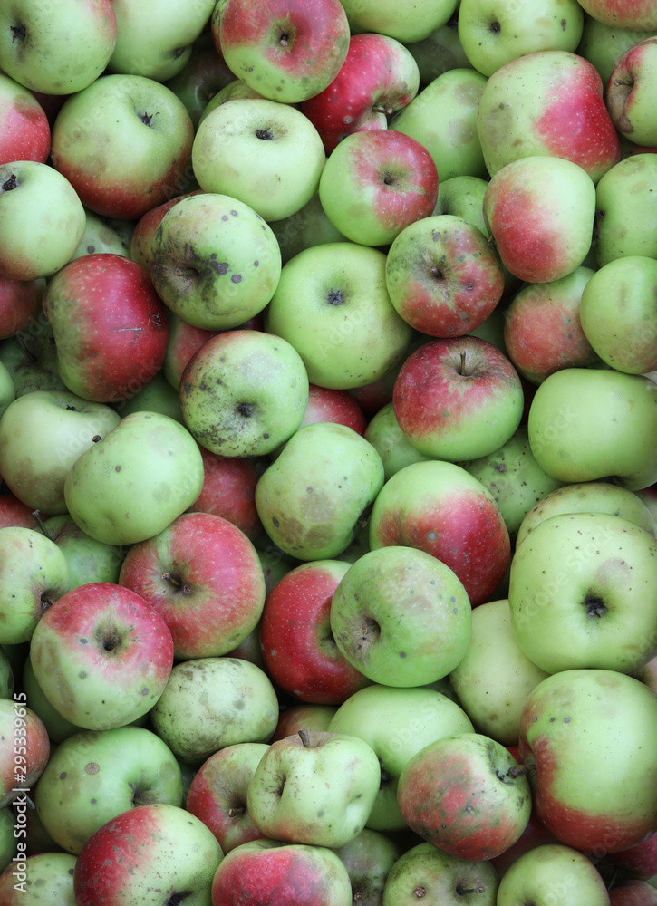 background of many organic apples background of many organic apples