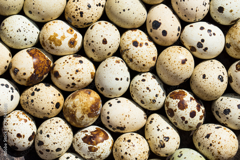 Quail eggs are considered a delicacy in many parts of the world. Quail eggs are considered a delicacy in many parts of the world.