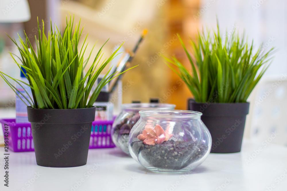 Fototapeta premium Grass in a pot. The concept of space design