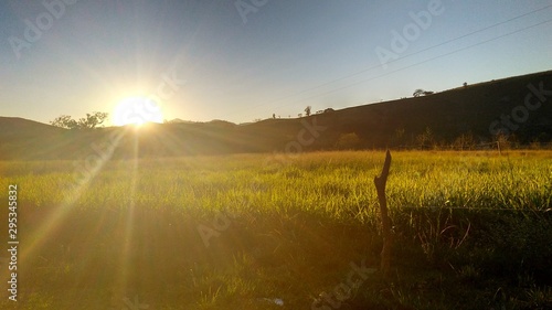 Fototapeta Naklejka Na Ścianę i Meble -  sunset over wheat field