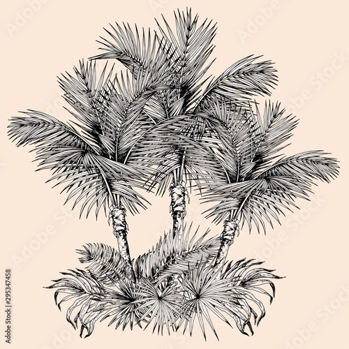 Tropical card with sketchy palm trees and leaves. Oasis scenery. Hand drawn vector illustration isolated on beige background.