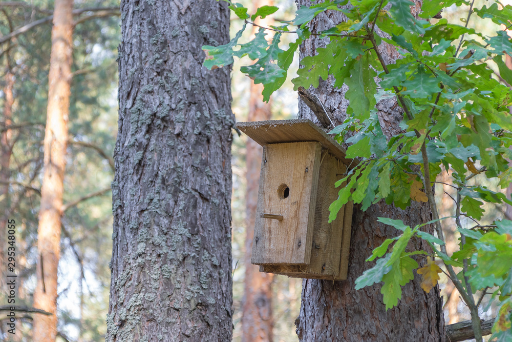 New wooden birdhouse on a tree for forest birds in the forest