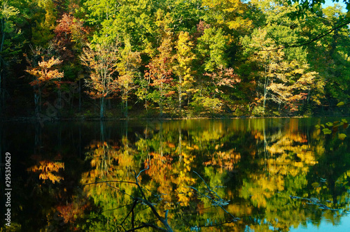 autumn in park