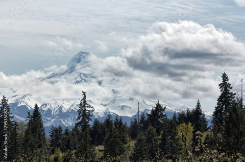 Mt Hood in Clouds Over Orchards © francis