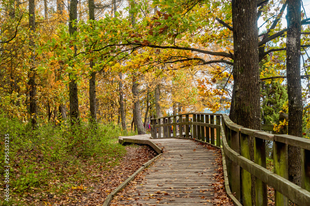 Wooden walkway in Juniper Valley in autumn